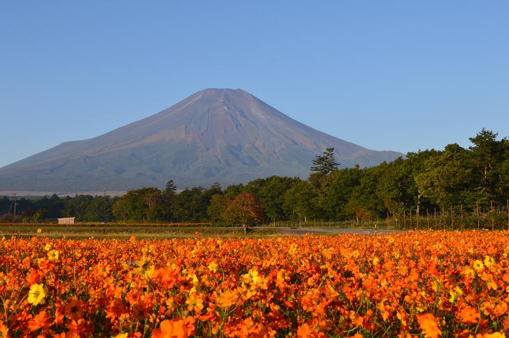 Yabukiso Hotel Yamanakako Eksteriør billede